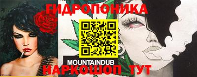 крисы Шебекино
