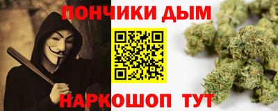 крисы Шебекино