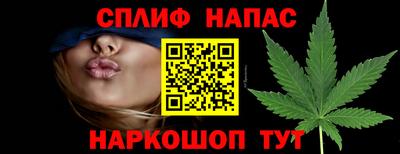 крисы Шебекино