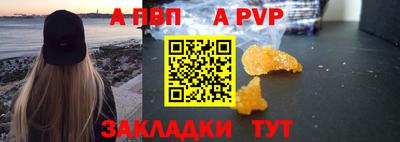 крисы Шебекино